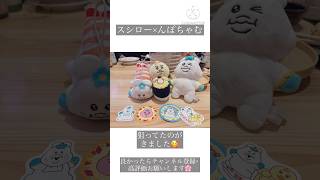 【ちょっとしたVlogスシロー×んぽちゃむ】#スシロー#んぽちゃむ#きみまろ#Vlog