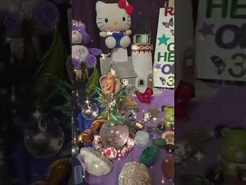 Butterfly Sanctuary 1/31/23