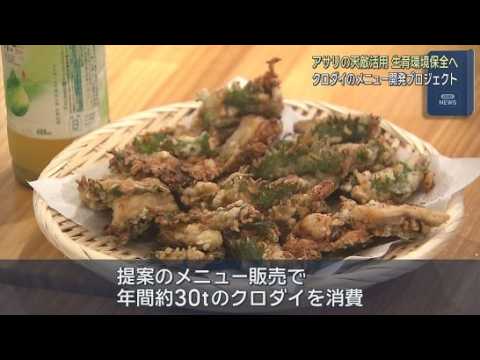 YouTube Video アサリ減少の一因？　浜名湖に生息している「クロダイ」を活用したメニューの開発プロジェクト始動