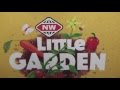 New World Little Garden