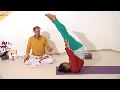 Storch - Yoga Asana Lexikon