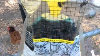 Disgusting maggots, fly catching bag rescue fly trap bug pest control DIY