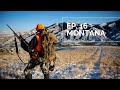 BULL DOWN IN MONTANA S2 E16 Rifle Elk Montana