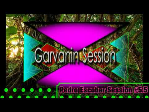 Jungle Terror Pedro Escobar Session # 5.5 2017 Garvanin Special Session
