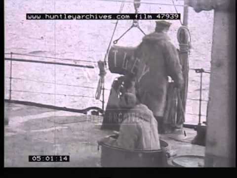 Polish Navy in WW2, 1940's - Film 47939