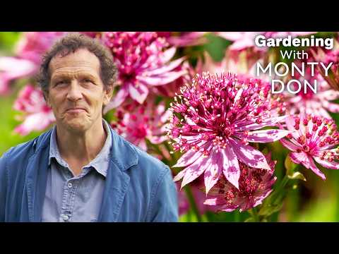 Cottage Garden Flowers — Full Episode