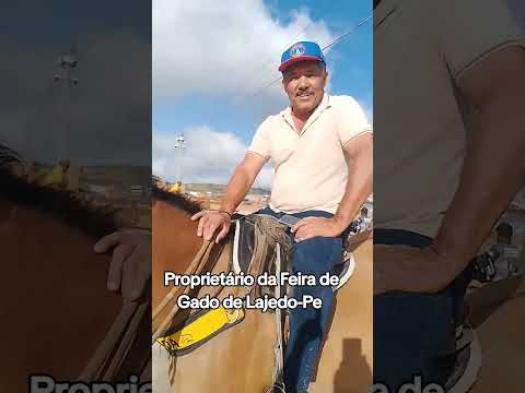 proprietário da Feira de Gado da cidade de Lajedo pe #viraliza