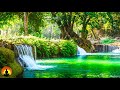 ? Relaxing Spa Music 24/7, Healing Music, Meditation, Spa, Stress Relief Music, Sleep, Spa Music