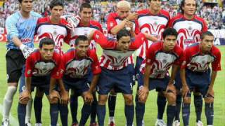 chivas el papa de los pollitos