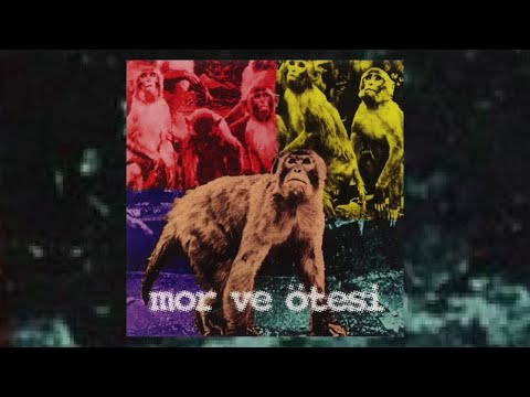 Video thumbnail for Ne
