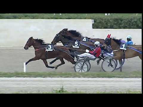 Napoli Trotto 03/03/2023 - 5ª corsa