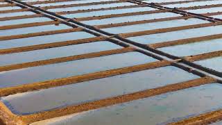 Salt beds of Gokarna, Karnataka