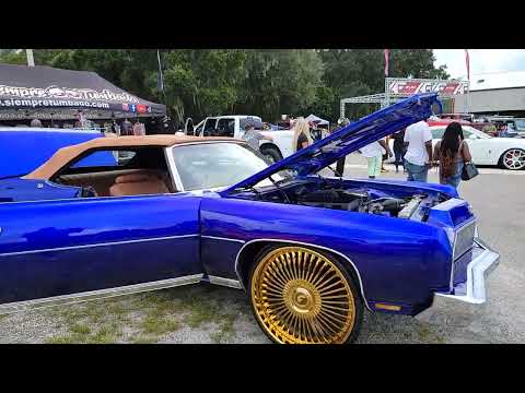 Donk Day 2022 Tampa florida (Donk planet)