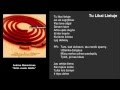 Andrius Mamontovas - Tu Likai Lietuje 