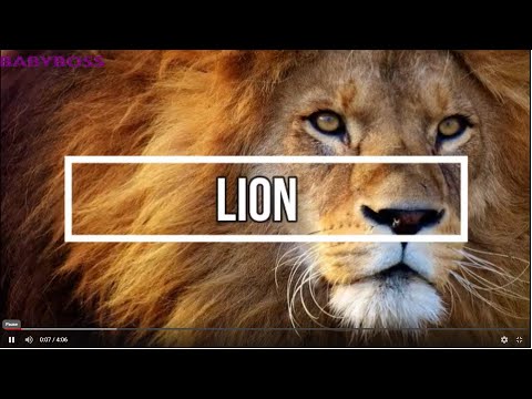 Telugu : learn about lion - సింహం