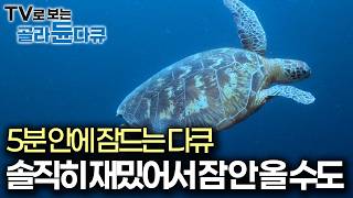  해양 커넥션 – 우리가 모르는 바다의 순환