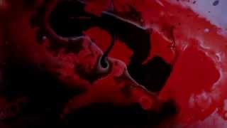 TbWcW | BELLICOSE | Official Video