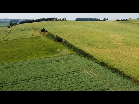 🚁 Flying Drone and Encounter with Nature