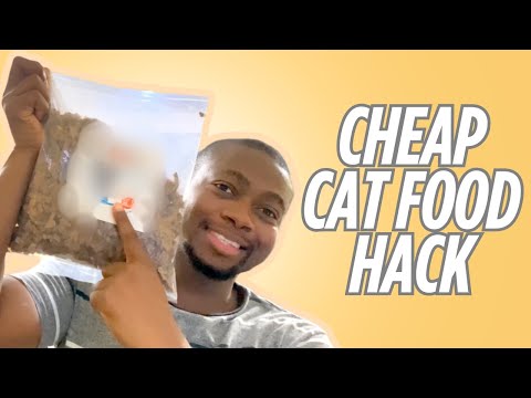 Save Money on Cat Food | Genius Hack Every Cat Owner Should Know!