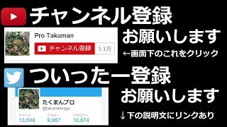 プロストリーマーのPUBG【9/5生放送】