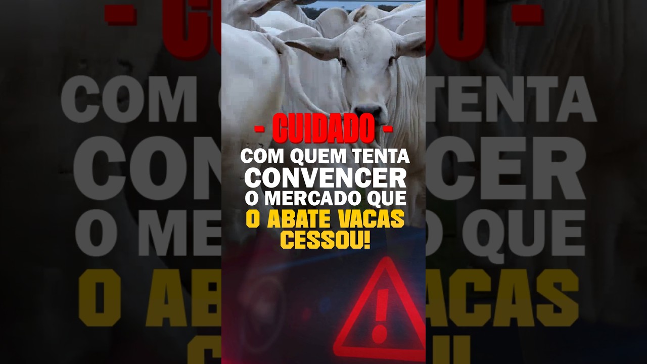 CUIDADO COM QUEM TENTA CONVENCER O MERCADO QUE O ABATE VACAS CESSOU!