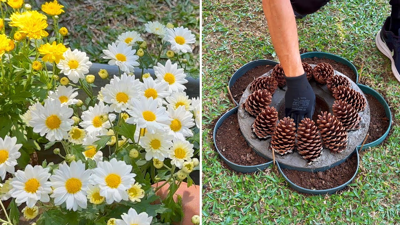 GARDEN WITH FLOWERS: 3 Ideas to decorate your backyard!