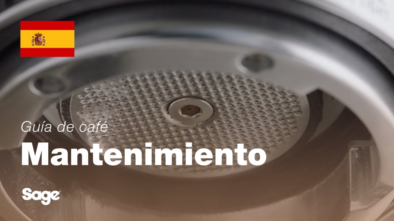 Cómo limpiar la ducha