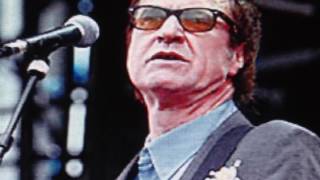 ray  davies and the jayhawks      "the deal."