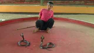 preview picture of video 'Thailand / Chiang Mai - Snake Show'