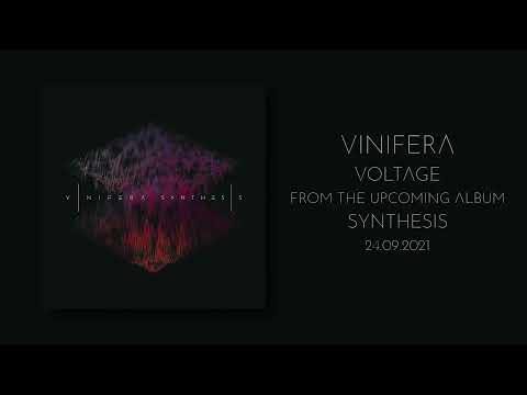 Vinifera - Voltage [New Single]