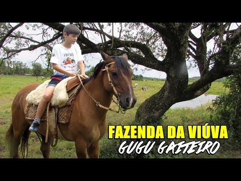 Gugu Gaiteiro - Fazenda da Viúva
