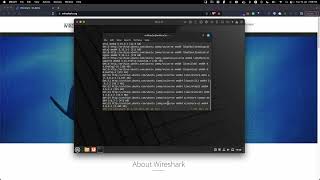 How to Install Wireshark on Linux Mint 21