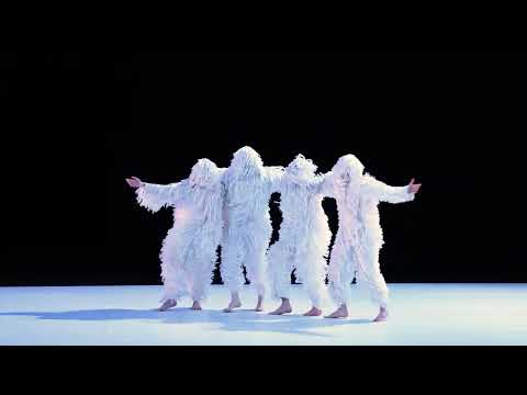 Après Tutu et Car/Men, découvrez la nouvelle folie chorégraphique de P 