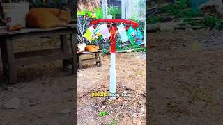 Download lagu When This Cat Gets Excited About the Greasy Pole Climbing Competition mp3 Download lagu When This Cat Gets Excited About the Greasy Pole Climbing Competition mp3