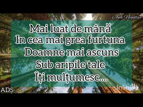 Negativ-Numelui tău eu ma supun -ton fata