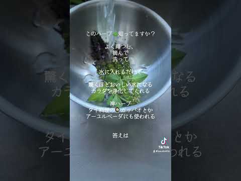 堆肥にはどれくらいの頻度で水をやるべきですか?パイル内の湿度を適切に管理するにはどうすればよいですか?  庭園