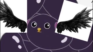 鬼滅の刃の声真似を頑張りすぎた豆しばの末路