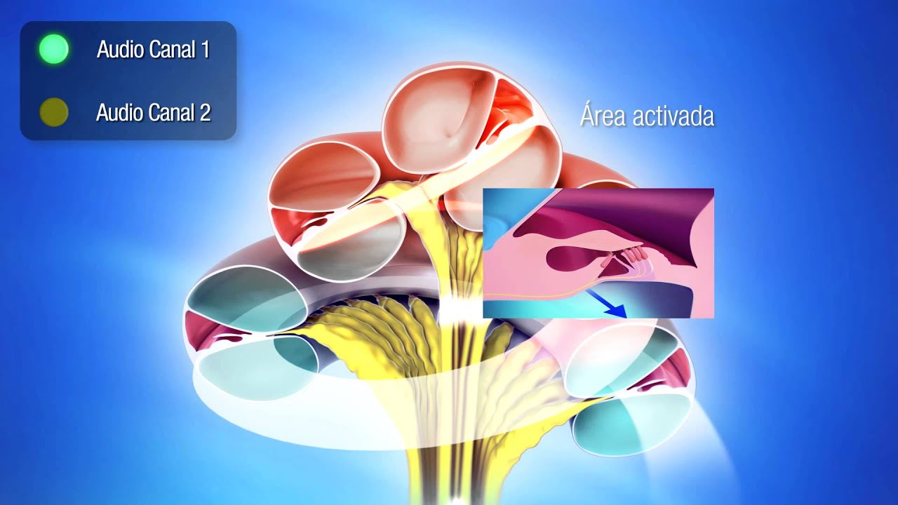 Martha E. Hernández Rodríguez Cano-23