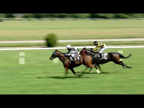 CH, 3. 6. 2018, 3. dostih - CENA WAGO