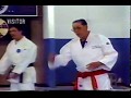 Karate Grand Masters In Action 1993