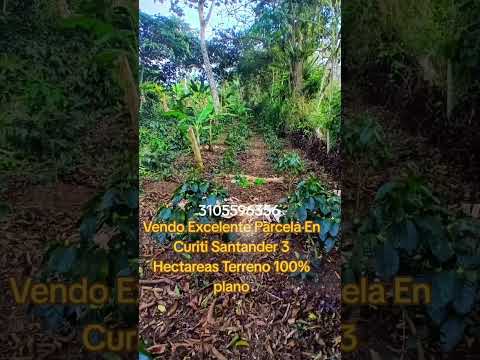 🏡 ¡SE VENDE! 🏡 Excelente Parcela de 3 hectáreas📍 A tan solo 15 minutos de CURITÍ, SANTANDER