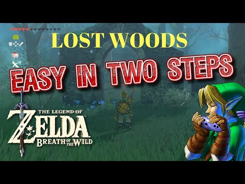 zelda breath of the wild the lost woods walkthrough