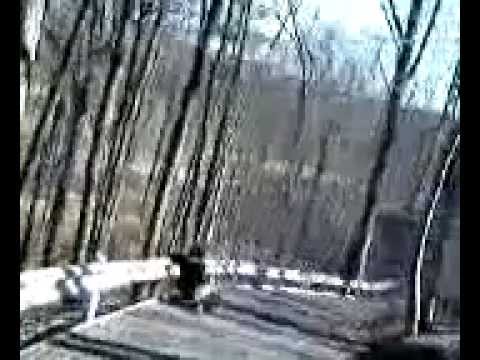 nico hits the guard rail in the toy car