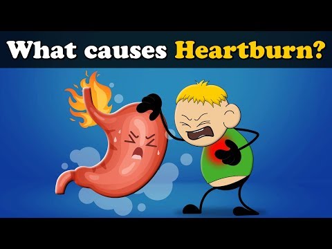 胃灼熱的原因是什麼？| 灼熱的原因是什麼？ (What causes Heartburn? | #aumsum)