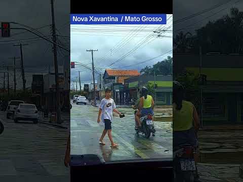 Nova Xavantina  / Mato Grosso