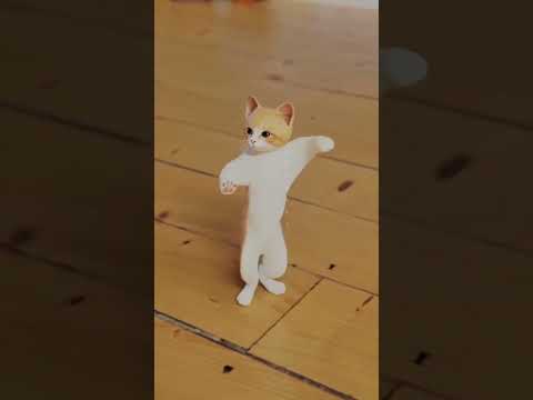 #cute #cat #dance