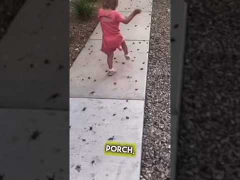 Swarms of Locust Hit USA!! 🤯