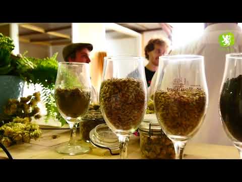 Made in Flandre#7 La Brasserie Bellenaert à Outtersteene