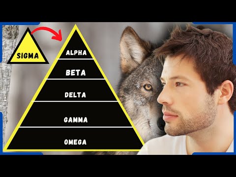 6 Male Personality Types - Which One Are You?