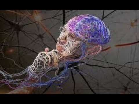 Теперь мы можем заработать эфириум бесплатно.